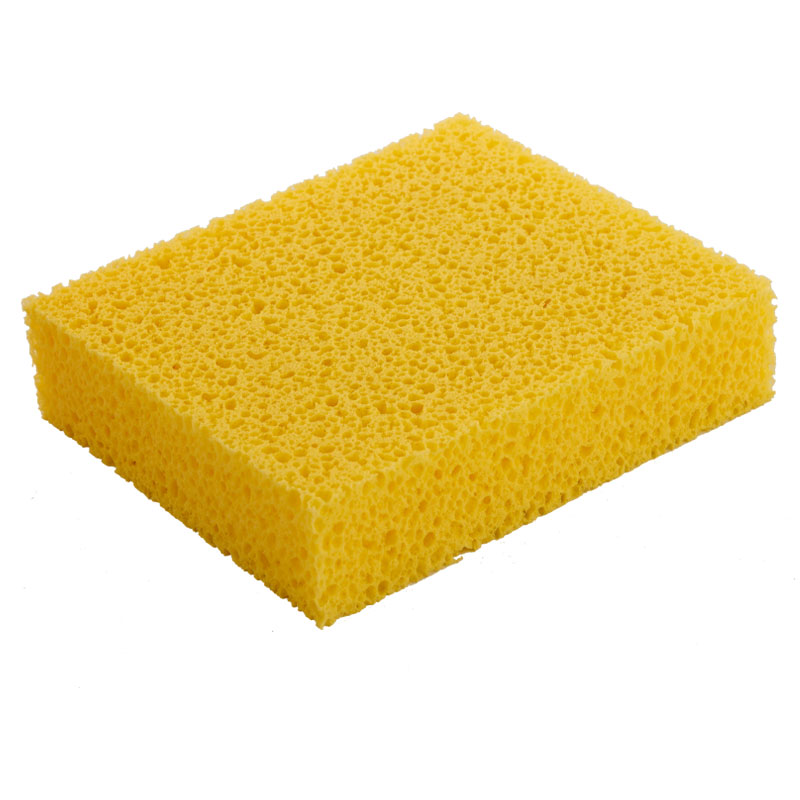 Sponge
